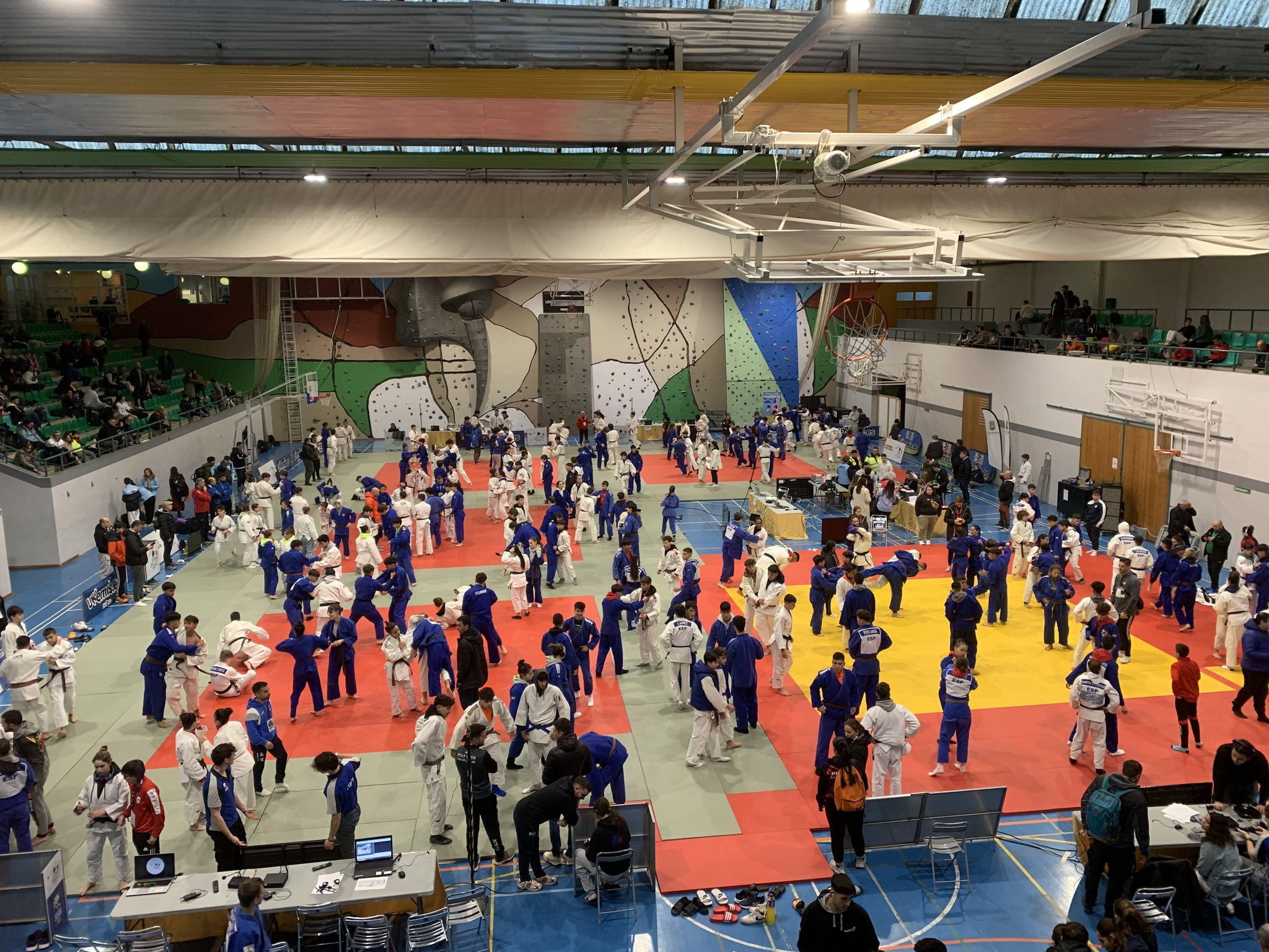 La Copa de España A de Judo Infantil y cadete se cierra con un excelente balance deportivo y de asistencia