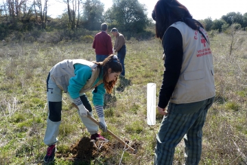 Voluntarios colaboran en el Día del Árbol.