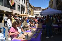 Fiesta_del_plantero_Ayuntamiento_de_Barbastro_2