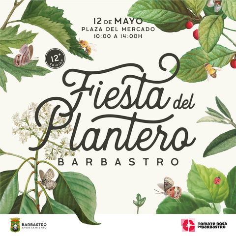 Los hortelanos barbastrenses repartirán 2000 plantas de Tomate Rosa este 12 de mayo con motivo de la Fiesta del Plantero