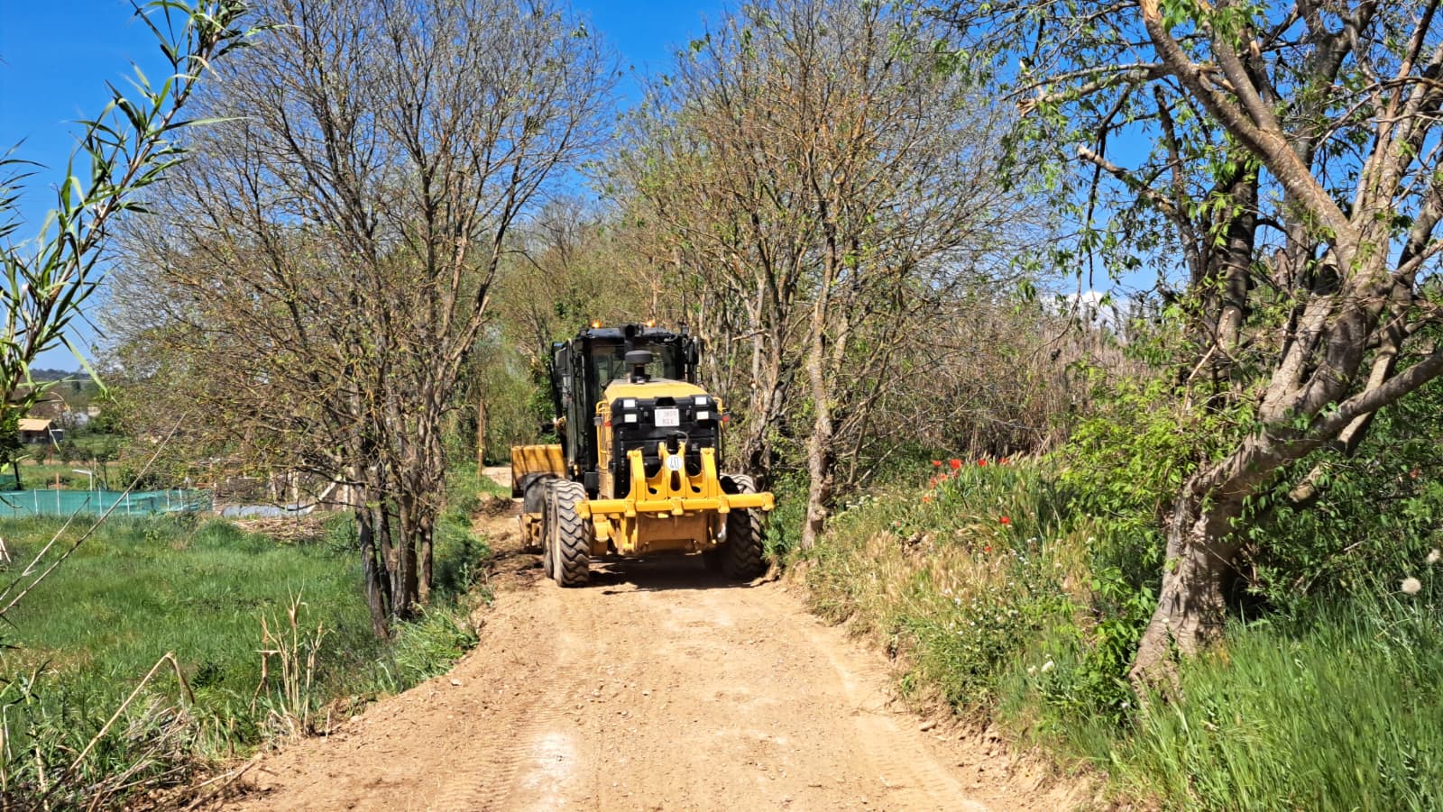 WhatsApp Image 2026 04 16 at 15.00.49 1