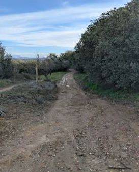 El Ayuntamiento de Barbastro adjudica las obras de mejora de cinco caminos rurales en las partidas de Vacamorta Baja y Sierra-Alcanetos