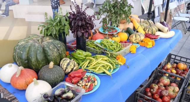 Barbastro celebra la XXVI Muestra de Frutas y Hortalizas, que contará con 17 expositores